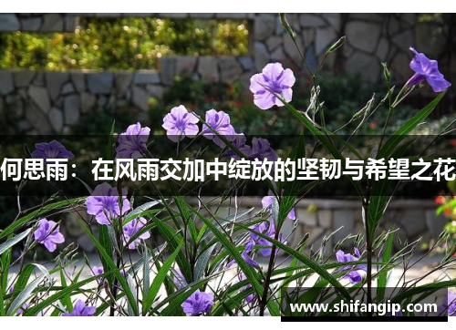 何思雨：在风雨交加中绽放的坚韧与希望之花