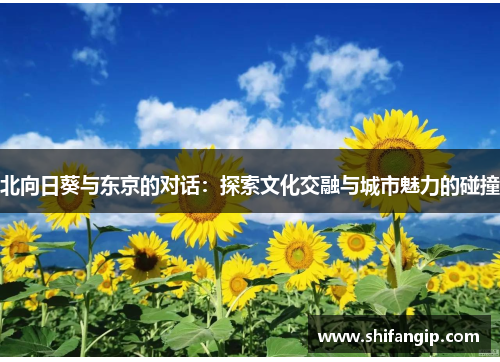 北向日葵与东京的对话：探索文化交融与城市魅力的碰撞